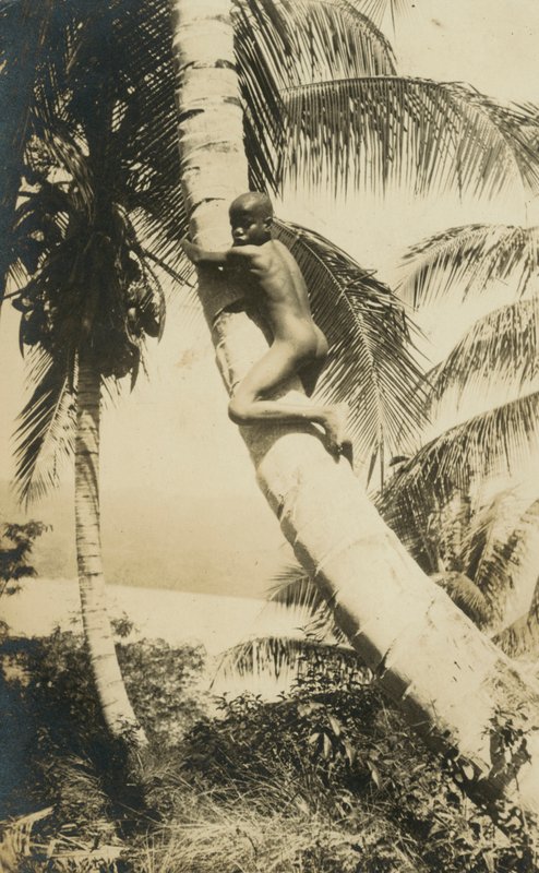 Bir ağaca tırmanan çocuk, Constant Bay, Jamaika by English Photographer