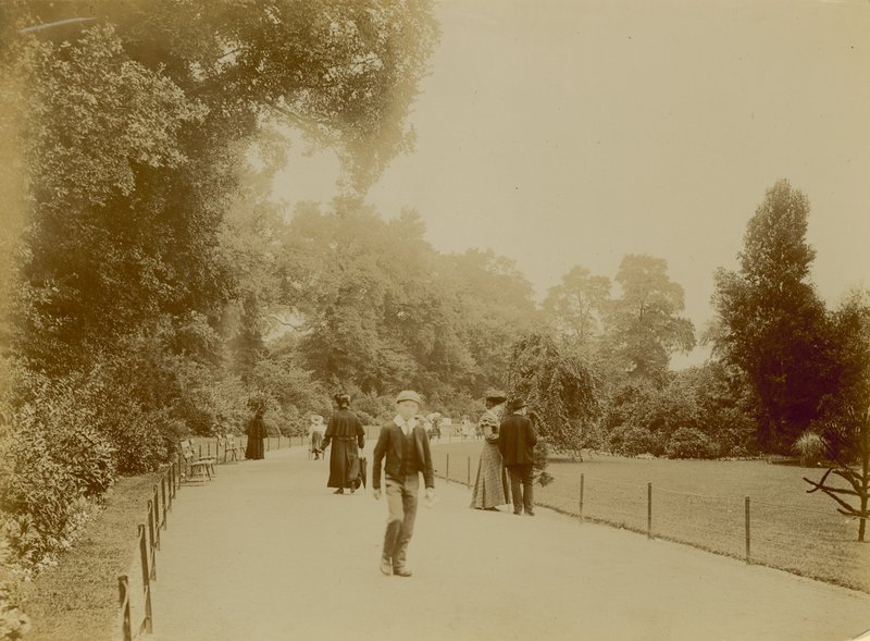 Brockwell Parkı, Londra by English Photographer