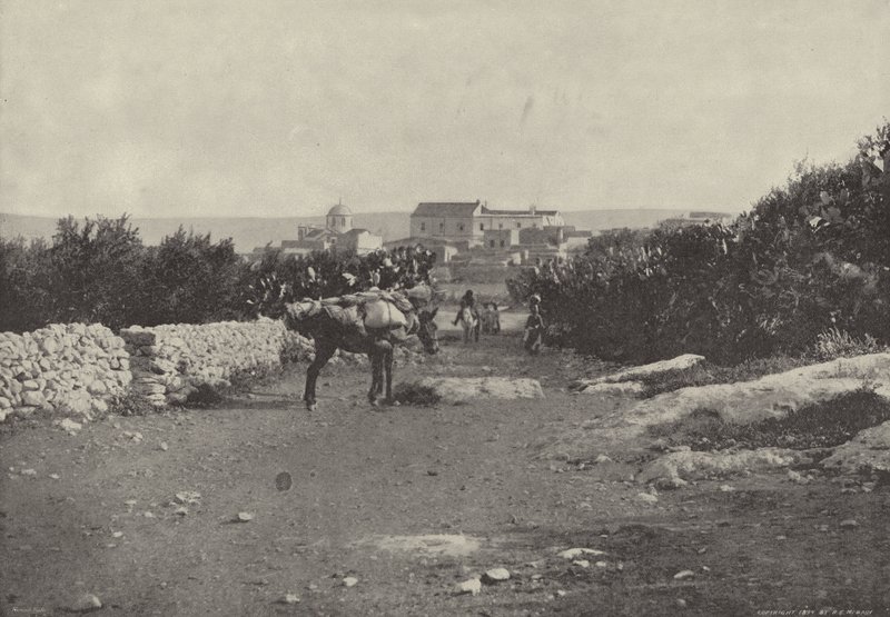 Celile Cana, ilk mucizenin yeri by English Photographer