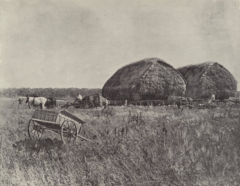 Canning Downs İstasyonu by English Photographer