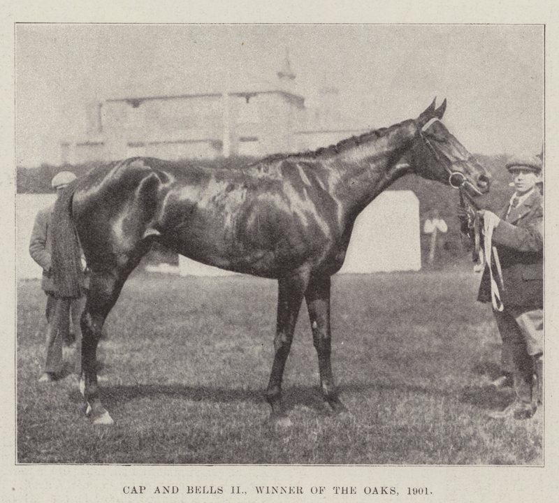 Cap ve Bells II, Oaks Birincisi, 1901 by English Photographer