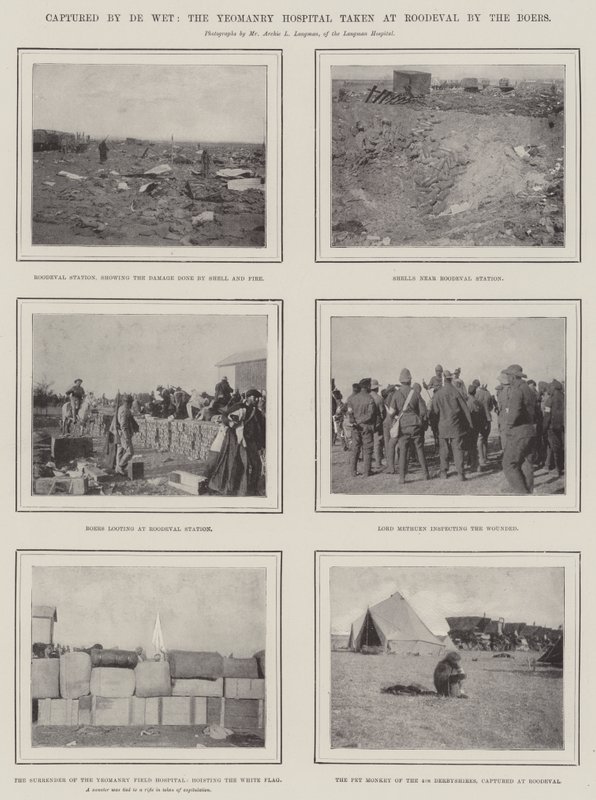 Boers tarafından Roodeval