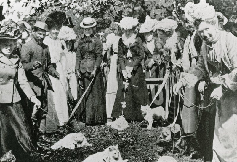 1900