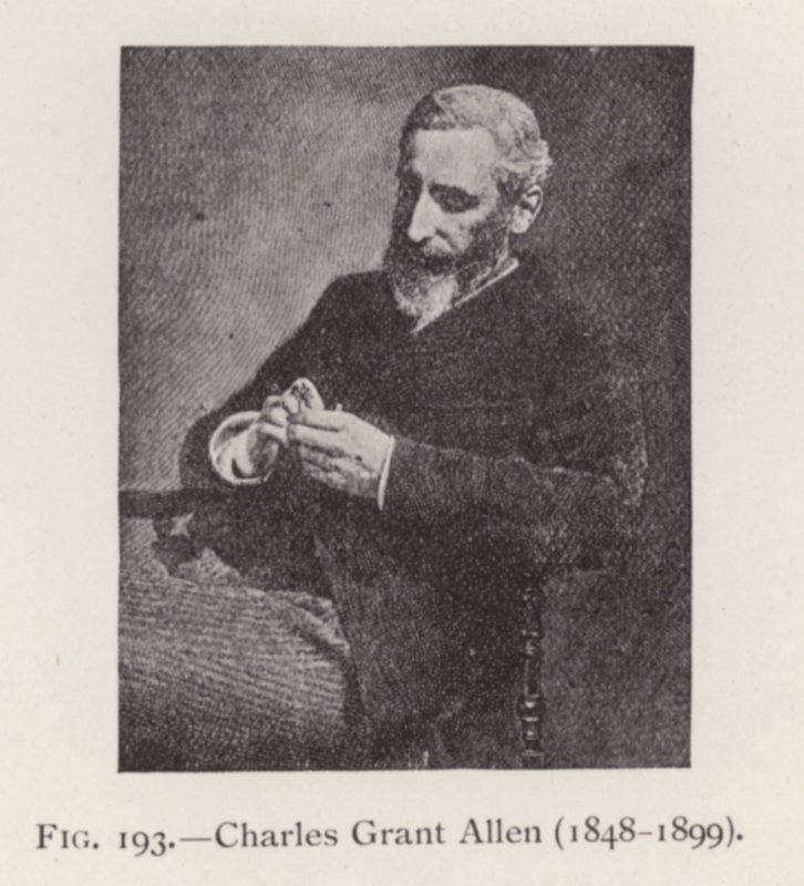 Charles Grant Allen (1848-1899), portre (s/b fotoğraf) by English Photographer