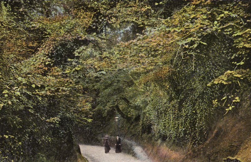Çin Boşluğu, Shanklin by English Photographer