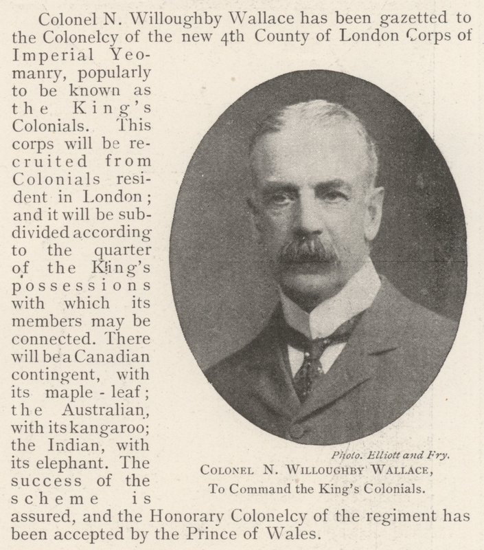 Albay N Willoughby Wallace, Kings Colonials
