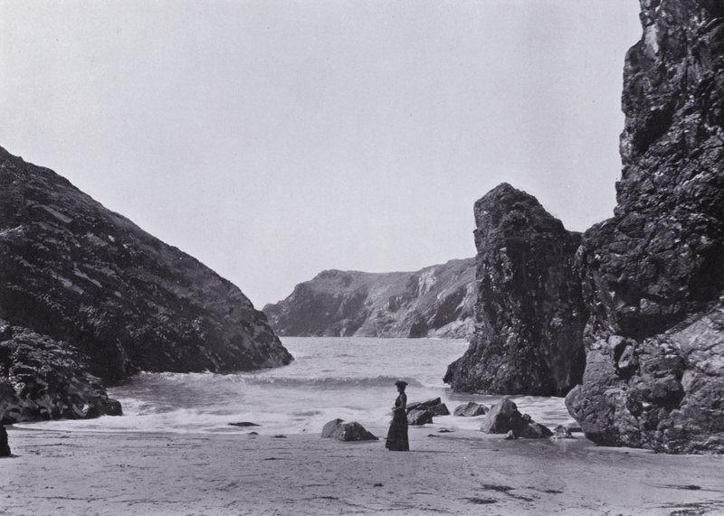 Cornwall: Kynance Koyu, Kertenkele by English Photographer
