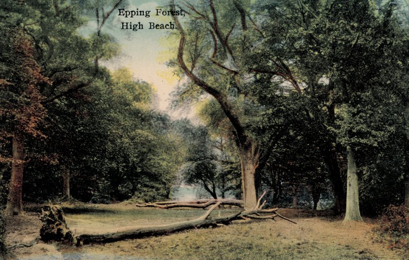 Epping Ormanı, Yüksek Plaj (fotoğraf) by English Photographer