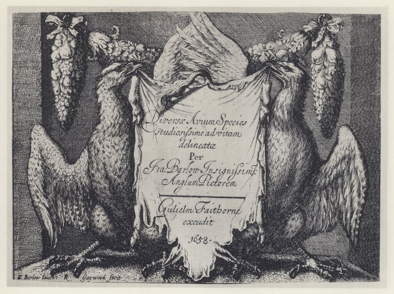 F Barlow, Diversae avium türleri, G Faithorne 1658 (s/b fotoğraf) by English Photographer