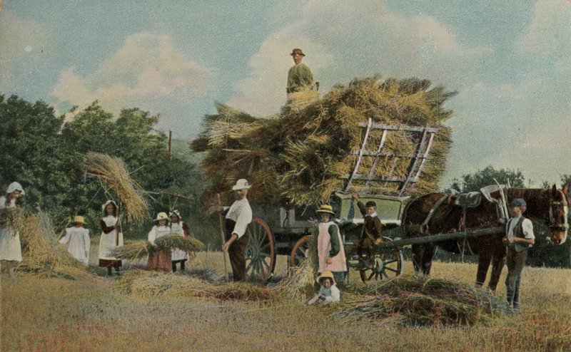 Tarlalarda hasat yapan çiftlik işçileri by English Photographer