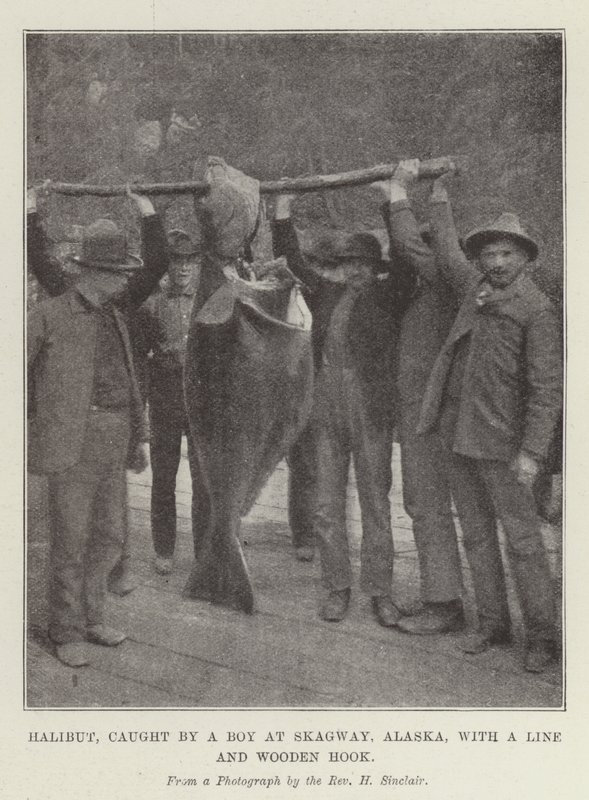 Halibut, Skagway, Alaska