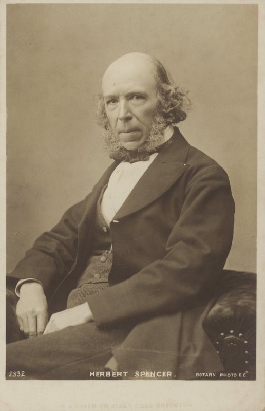 Herbert Spencer (1820-1903), İngiliz filozof, siyaset kuramcısı, biyolog ve sosyolog by English Photographer