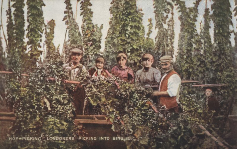 Hop toplayıcılar (renkli fotoğraf) by English Photographer