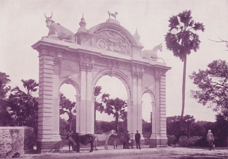 Hayvanlar Hastanesi, Bombay by English Photographer