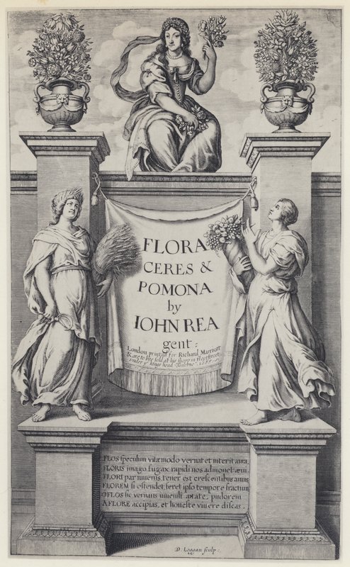 J Rea, Flora, Ceres ve Pomona, R Marriott 1665 (s/b fotoğraf) by English Photographer