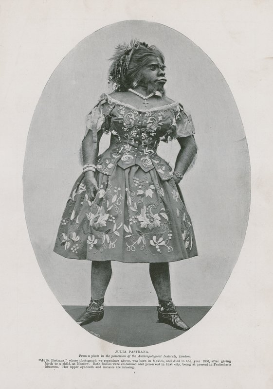 Julia Pastrana by English Photographer