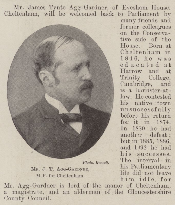 Bay JT Agg-Gardner, Cheltenham Milletvekili by English Photographer