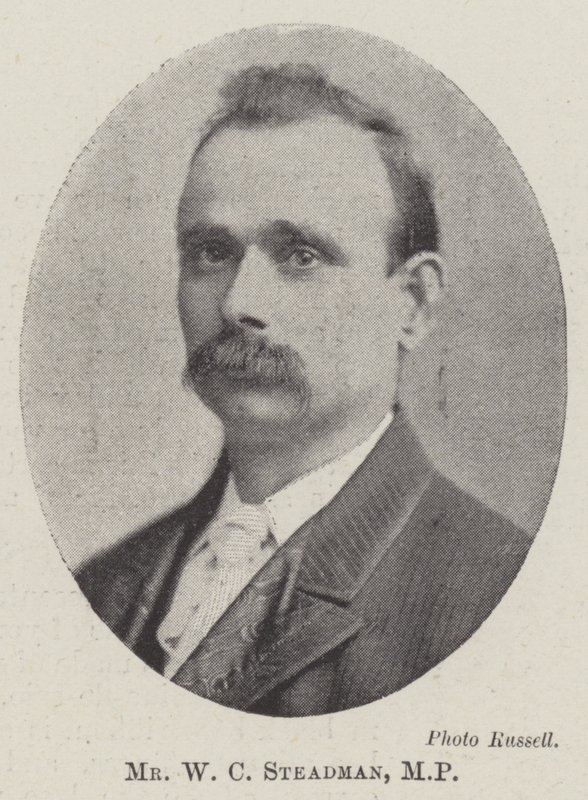 Bay WC Steadman, Milletvekili by English Photographer