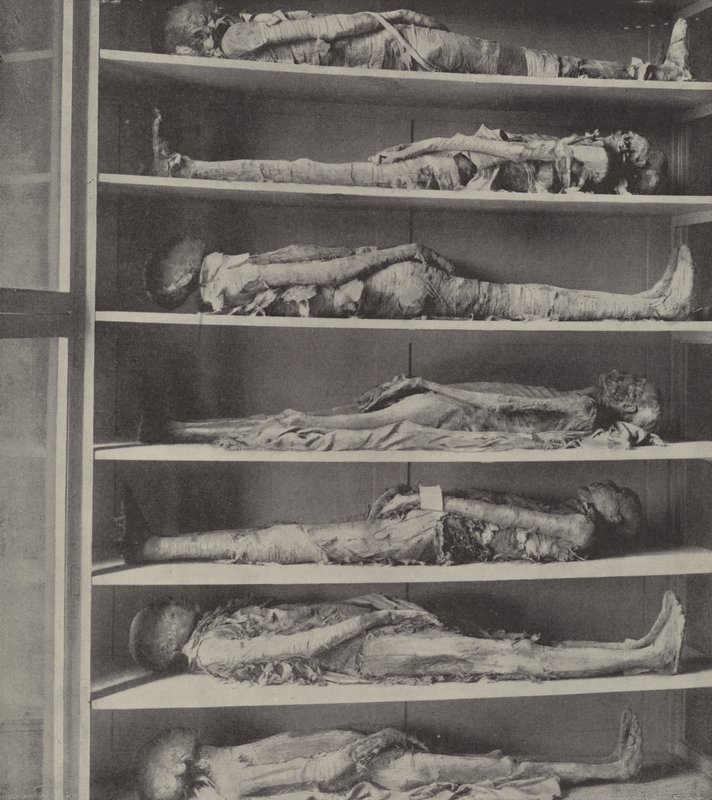 Rahiplerin mumyaları, Harun ve oğulları tayin edilmeden önce mumyalanan rahiplerin cesetleri? by English Photographer