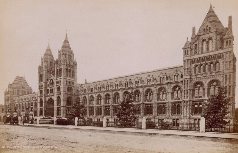 Doğal Tarih Müzesi, South Kensington, Londra by English Photographer