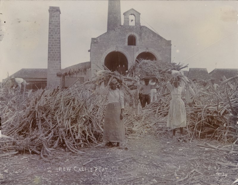 Newcastle Ovası, 1880 by English Photographer