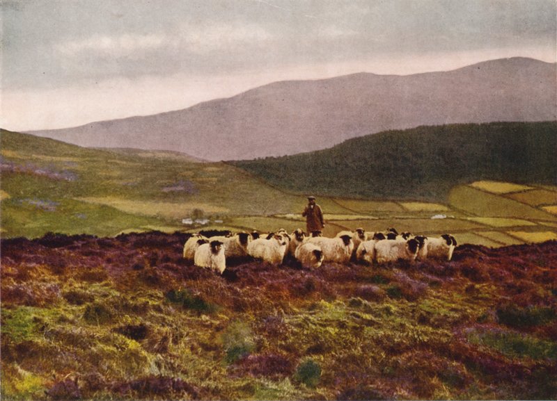 Mourne Dağlarında, County Down (renkli fotoğraf) by English Photographer