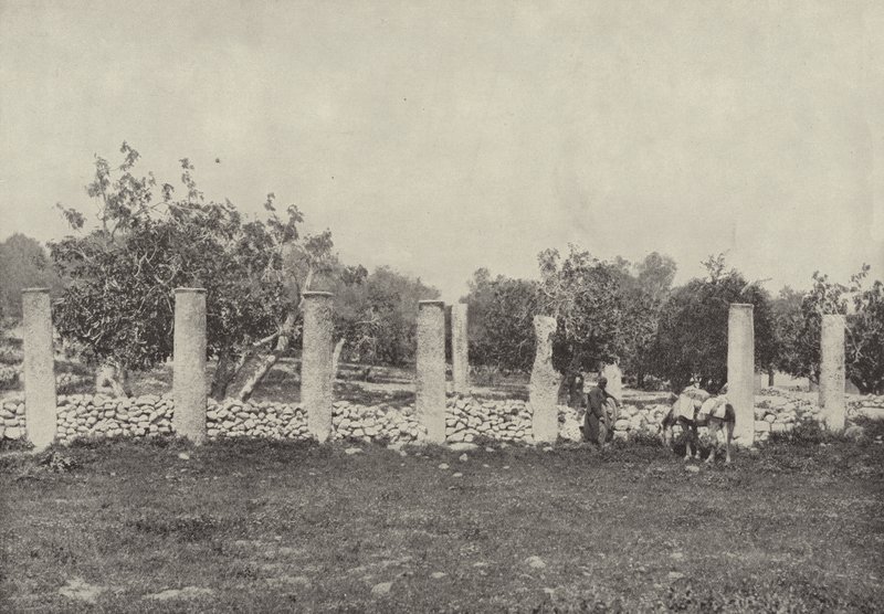Herod Sarayı, Samiriye, Herod tarafından Augustus onuruna yaptırılan sarayın kalıntıları by English Photographer