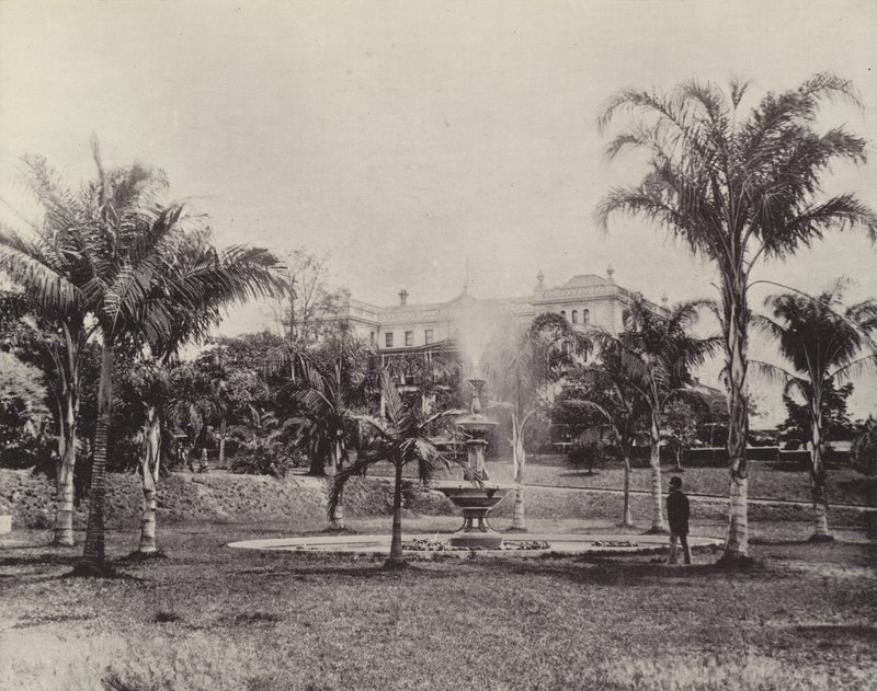 Palmiyeler ve Çeşme, Botanik Bahçeleri, Brisbane by English Photographer
