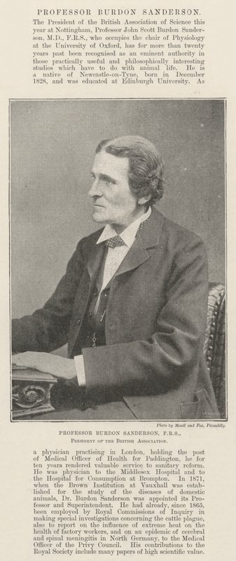 Profesör Burdon Sanderson, FRS, British Association Başkanı by English Photographer