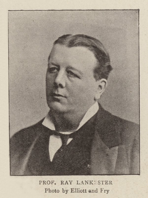 Profesör Ray Lankester by English Photographer