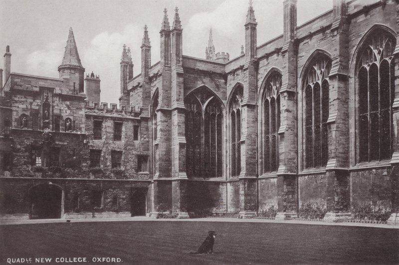 Dörtgen Yeni Kolej, Oxford by English Photographer