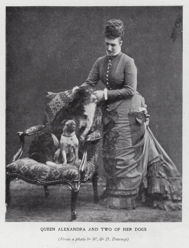 Kraliçe Alexandra ve iki köpeği (s/b fotoğraf) by English Photographer