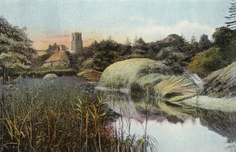 Reed Staithe, Ranworth by English Photographer