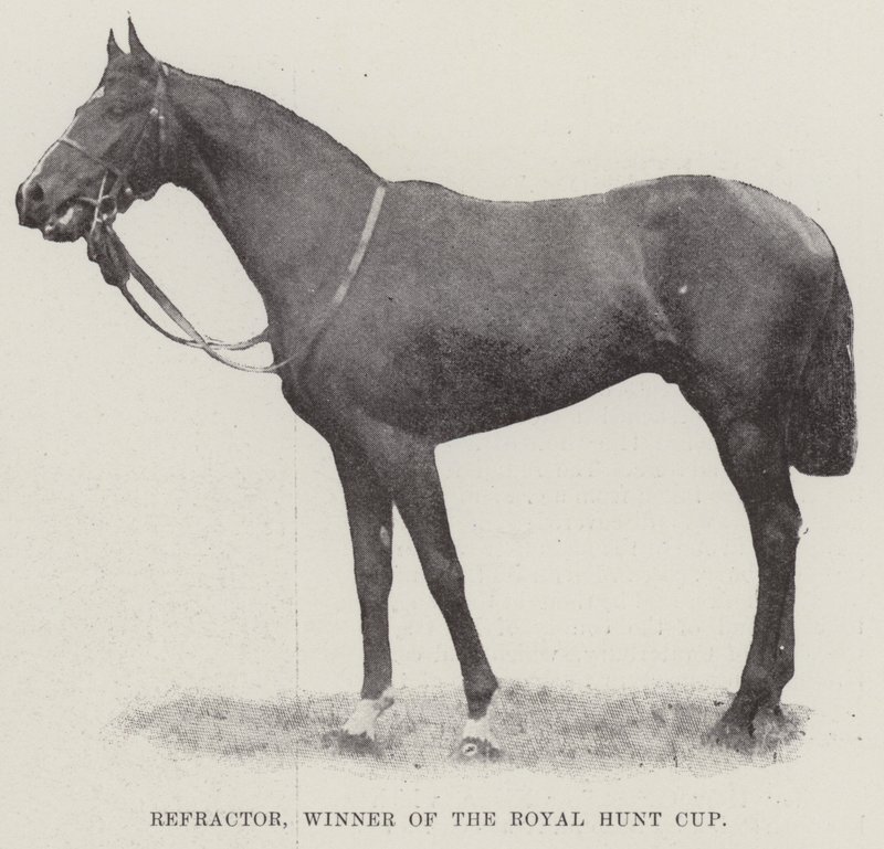 Refraktör, Royal Hunt Kupasını Kazanan by English Photographer