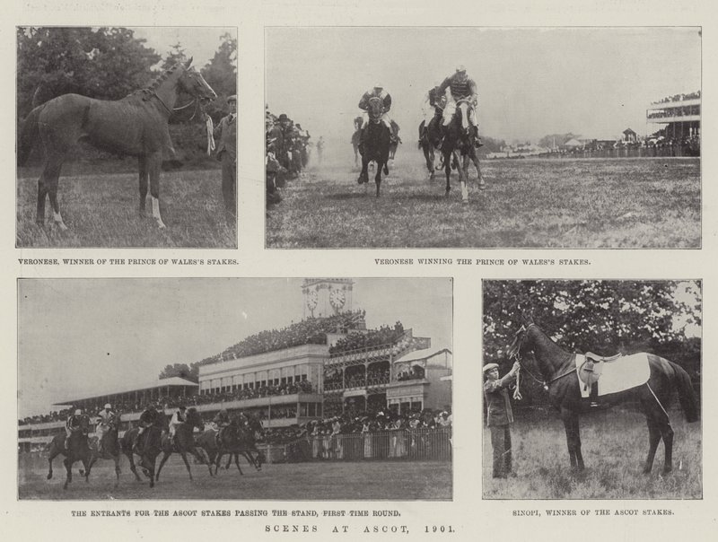 Ascot