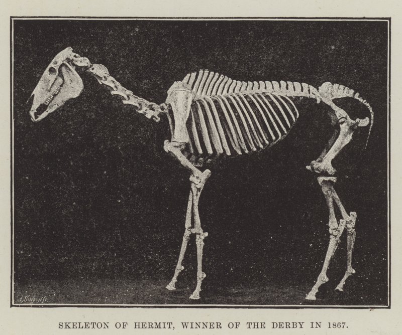 Münzevi İskeleti, 1867