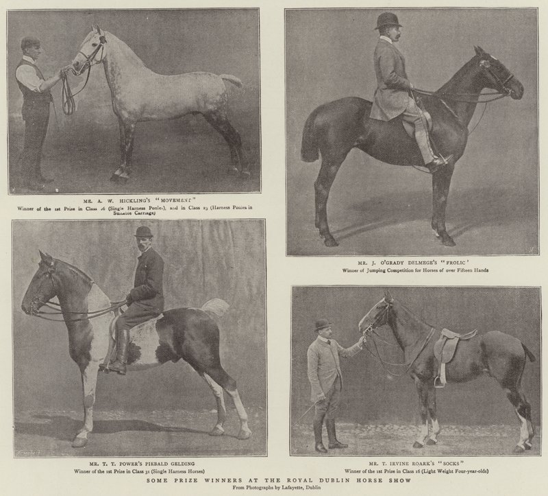 Royal Dublin Horse Show