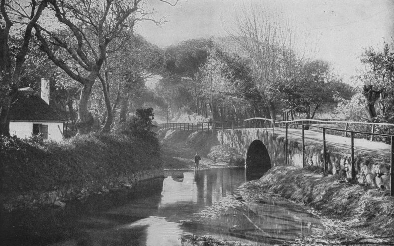 Güney Afrika: The Bridge, Mowbray (s/b fotoğraf) by English Photographer