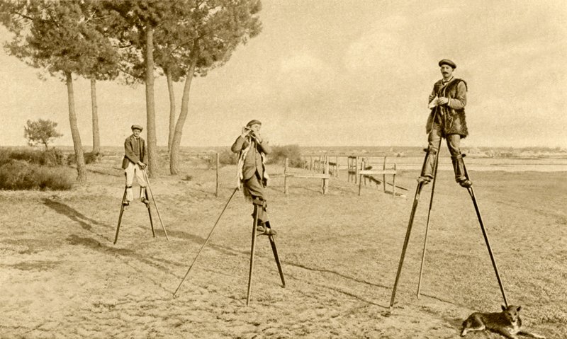 Stilts (b/w fotoğraf) by English Photographer