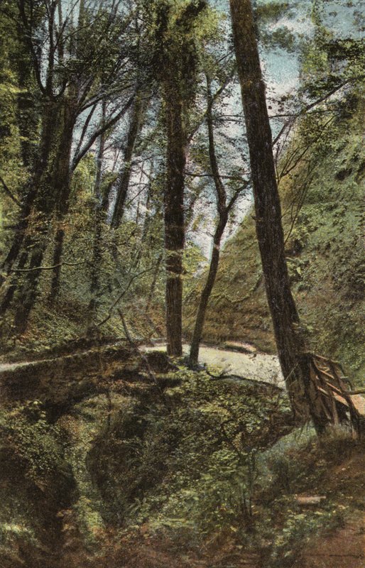 Shanklin Çin