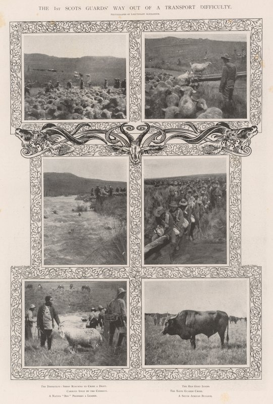 1. İskoç Muhafızları Ulaştırma Zorluğundan Çıkış Yolu by English Photographer