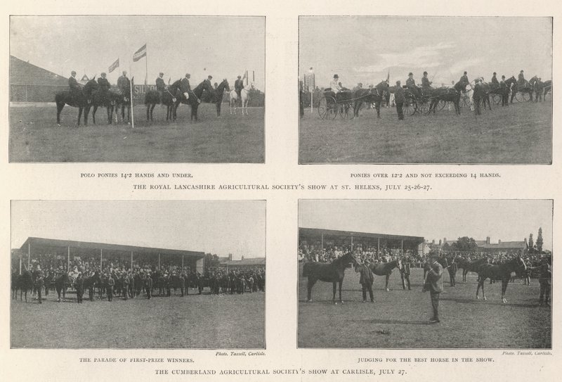 Tarım Dernekleri Gösterisi by English Photographer