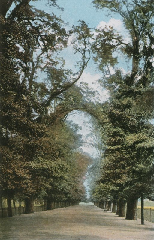 Geniş Yürüyüş by English Photographer