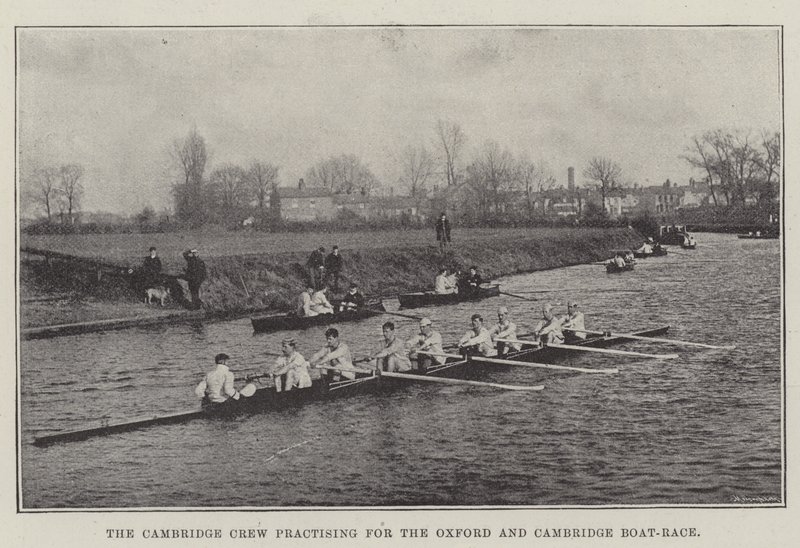 Cambridge Mürettebatı, Oxford ve Cambridge Tekne Yarışı için antrenman yapıyor by English Photographer