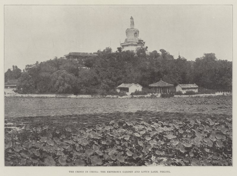 Çin'deki Kriz, İmparatorlar Bahçesi ve Lotus Gölü, Pekin by English Photographer