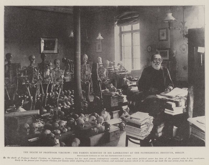 Ünlü Bilim Adamı Profesör Virchow