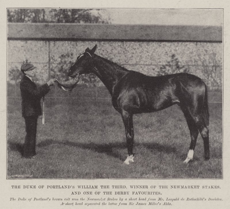 Portlands Dükü Üçüncü William, Newmarket Stakes Kazanan ve Derbi Favorilerinden Biri by English Photographer