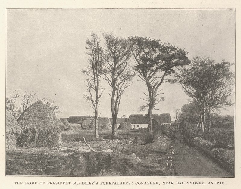 Başkan McKinley