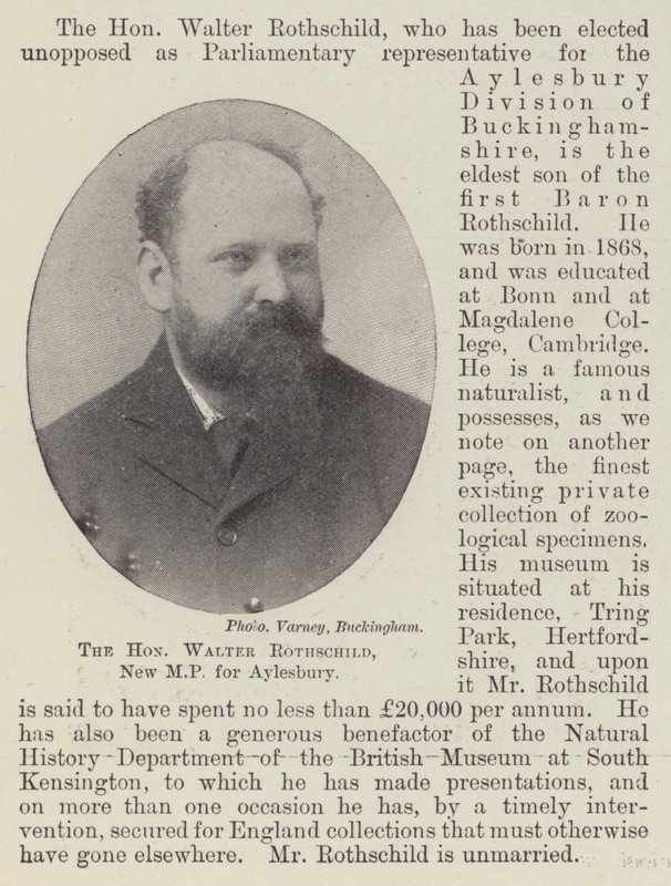 Saygıdeğer Walter Rothschild, Aylesbury