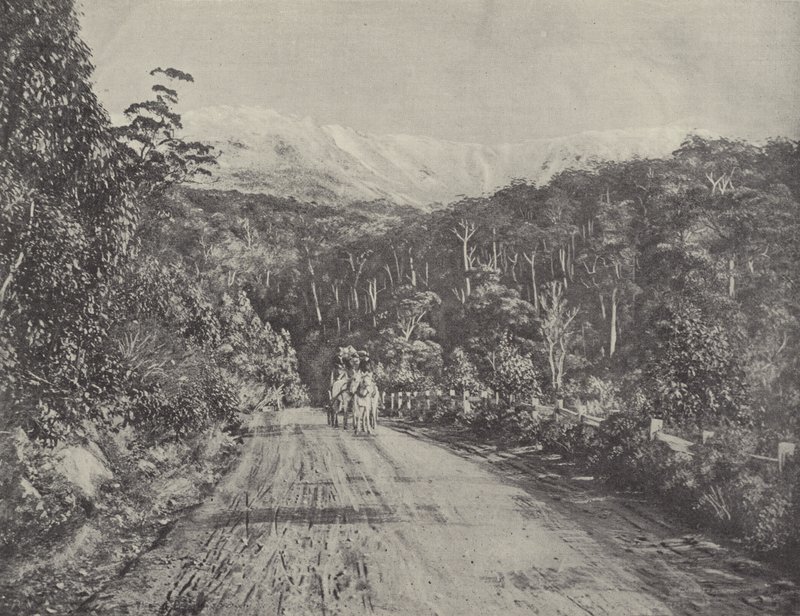 Huon Yolu by English Photographer